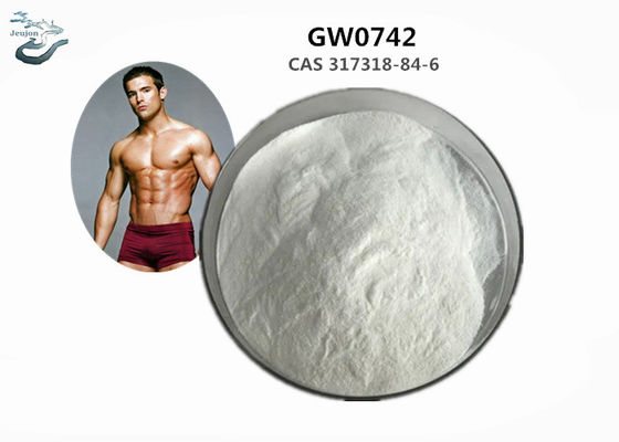 Top Quality Gym Powder GW0742 CAS 317318-84-6 Sarms For Bodybuilding