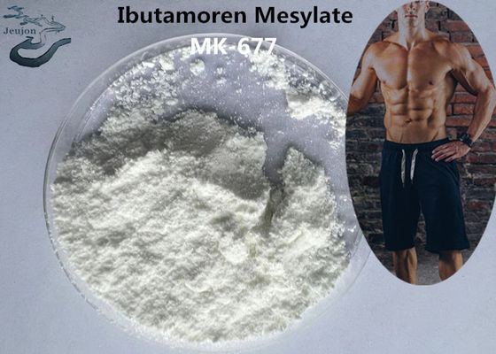 Gym Powder Sarms MK 677 Ibutamoren Muscle Gain Mesilate MK 0677 CAS 159634-47-6 For Fat Loss