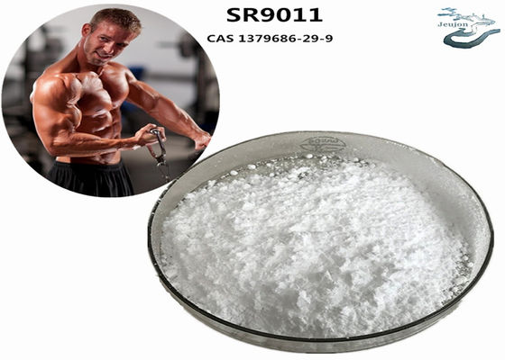 SR9011 Sarms Fat Burning Gym Powder CAS 1379686-29-9 Suplemento de musculação