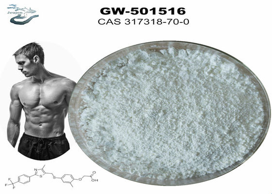 SARMS para perda de gordura pura em pó GW501516 CAS 317318-70-0 Gym Powder GW501516